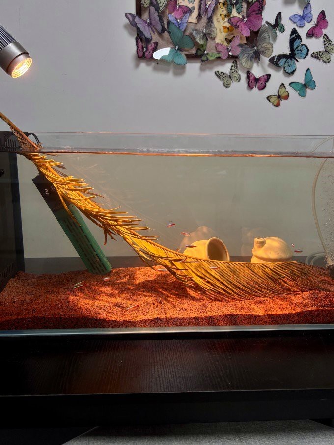 森森魚缸拆裝教程圖解