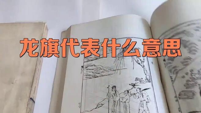 雙龍版紅龍旗有何特殊意義？