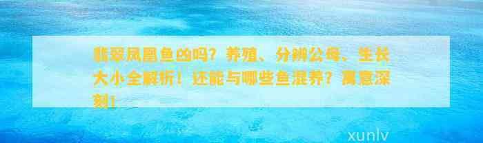 翡翠鳳凰魚(yú)最忌三種東西
