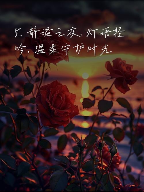 燈的唯美圖片