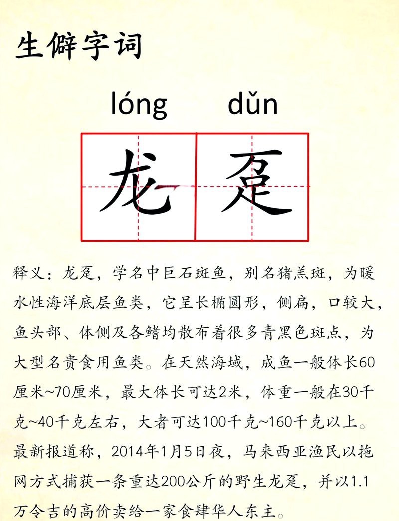 龍躉有哪些別名