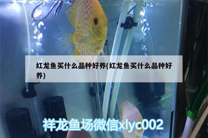 長春南關(guān)區(qū)一介草民水族造景店 長春南關(guān)區(qū)一介草民水族造景店 全國水族館企業(yè)名錄 第1張