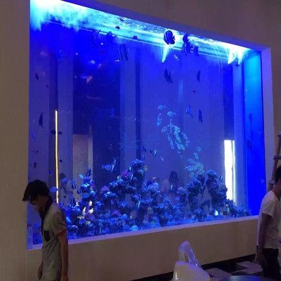 小魚未來魚缸燈光顏色:小魚未來魚缸燈光顏色將更加智能化和多樣化 魚缸百科 第3張 小魚未來魚缸燈光顏色:小魚未來魚缸燈光顏色將更加智能化和多樣化 小魚未來魚缸燈光顏色:小魚未來魚缸燈光顏色將更加智能化和多樣化 魚缸百科 第3張