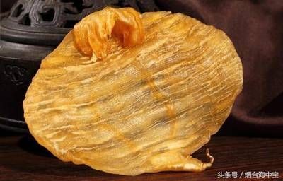 金龍魚膠的功效和作用及食用方法（金龍魚膠與魚翅的區(qū)別是什么金龍魚膠與魚翅的區(qū)別）