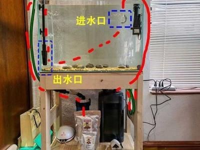魚缸水流活躍度提升方案：如何通過優(yōu)化魚缸水流的方案來提升魚類生存環(huán)境的改善方法