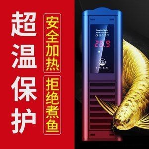 龍魚缸養烏龜：養龍魚缸烏龜需要注意的事項