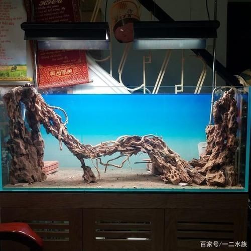 魚缸造景制作方法圖片，魚缸造景搭配水草指南魚缸造景燈光布置要點階梯式造景設計案例欣賞