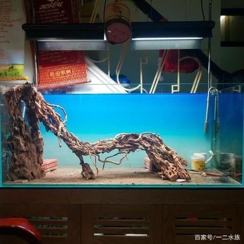 魚缸造景制作方法圖片，魚缸造景搭配水草指南魚缸造景燈光布置要點階梯式造景設計案例欣賞
