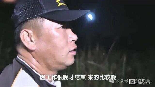 虎紋鴨嘴鯰是不是國家保護