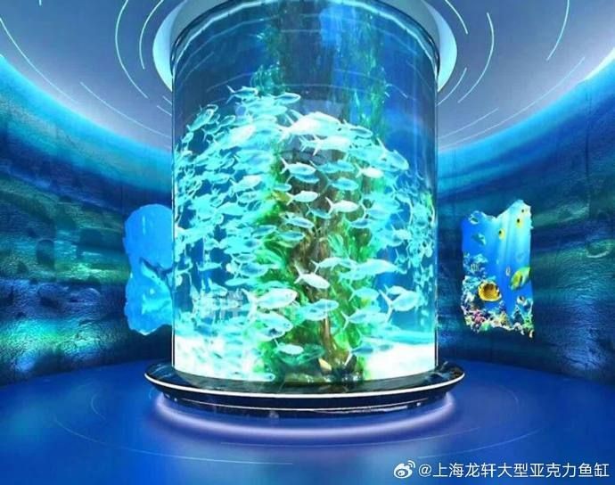 魚缸里為什么有銹跡：如何自然去除魚缸褐藻,魚缸水質改善的具體方法