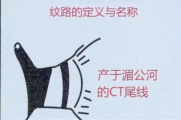 虎魚長什么樣子