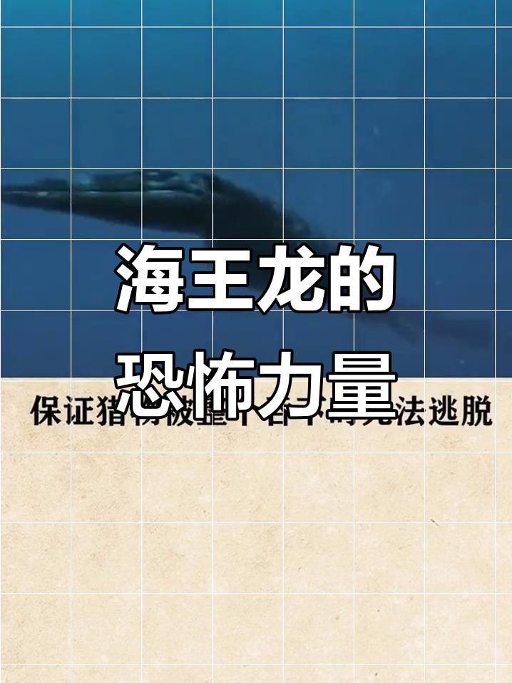 霍夫曼滄龍和海王龍哪個(gè)更厲害？