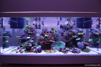 哈爾濱市南崗區(qū)鑫淼水族家具經(jīng)銷部（哈爾濱市南崗區(qū)鑫淼水族家具經(jīng)銷部電話）