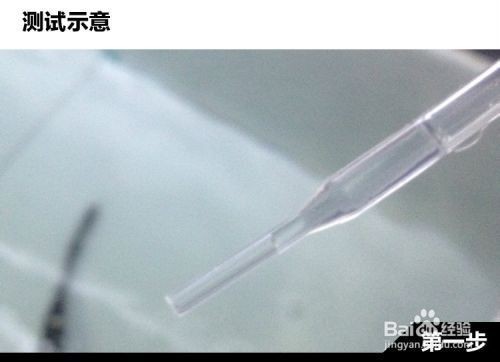 如何檢測魚缸中的有害細菌：檢測魚缸中的有害細菌