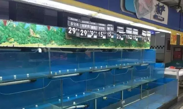 個舊市漁漁樂水族店