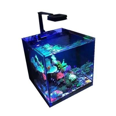 藍甸魚缸安裝視頻教學：藍甸魚缸安裝教學視頻 藍甸魚缸安裝視頻教學：藍甸魚缸安裝教學視頻 魚缸百科 第4張