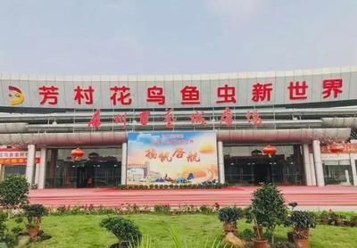 龍魚錦標賽冠軍獎金多少，2023年長城杯世界龍魚錦標賽冠軍獎金數額達49萬元
