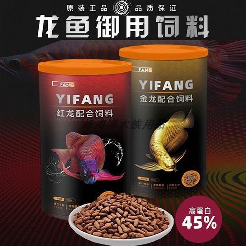 紅龍魚喂飼料好不好呢圖片