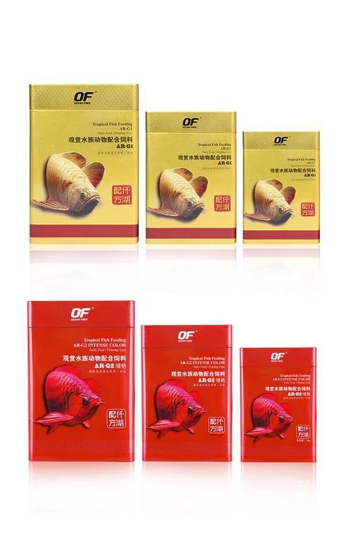 紅龍魚喂飼料好不好呢圖片