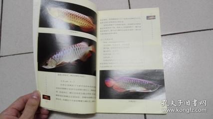 龍魚飼養(yǎng)手冊電子書免費下載：龍魚飼養(yǎng)手冊電子書免費下載，