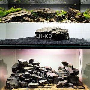 頂級魚缸造景效果圖的設計：世界各地魚缸造景風格魚缸造景風格魚缸造景效果圖