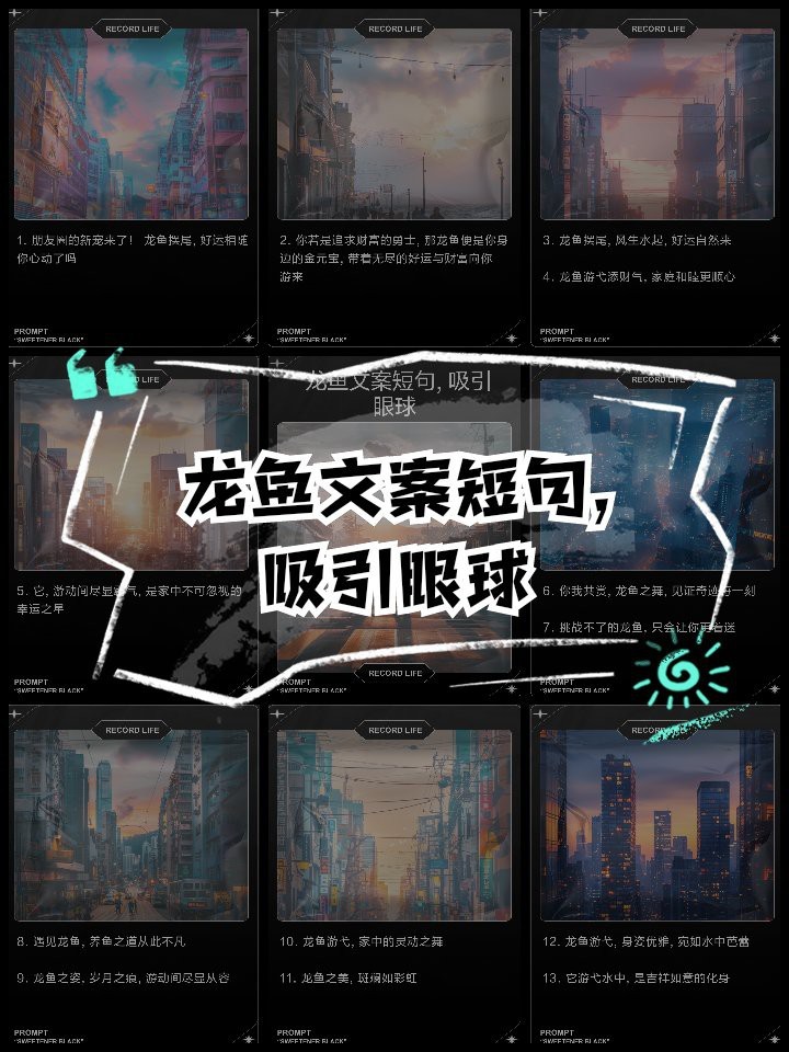銀龍魚最經典十句話 銀龍魚最經典十句話 龍魚論壇 第1張