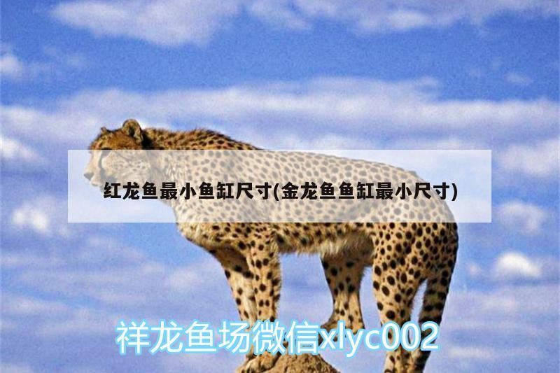 海豐縣公平錦鱗水族店