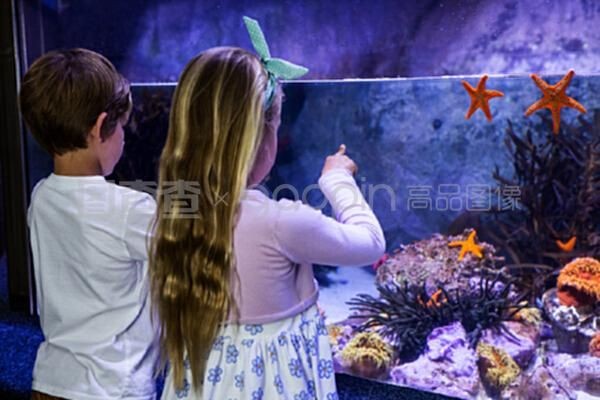 魚缸里的孩子：如何應用魚缸法則培養孩子，魚缸法則在家庭教育中的實踐