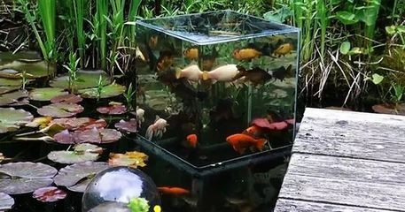 負壓魚缸優缺點