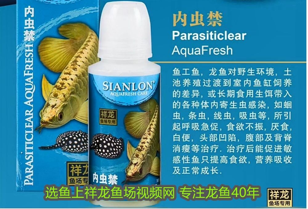 <strong><mark>西安</mark></strong>龍魚魚缸：<strong><mark>西安</mark></strong>龍魚魚缸，打造家居水族藝術的完美選擇