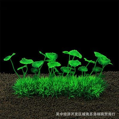 魚缸水草搭配效果圖欣賞：魚缸水草搭配圖片欣賞，魚缸生態平衡維護方法