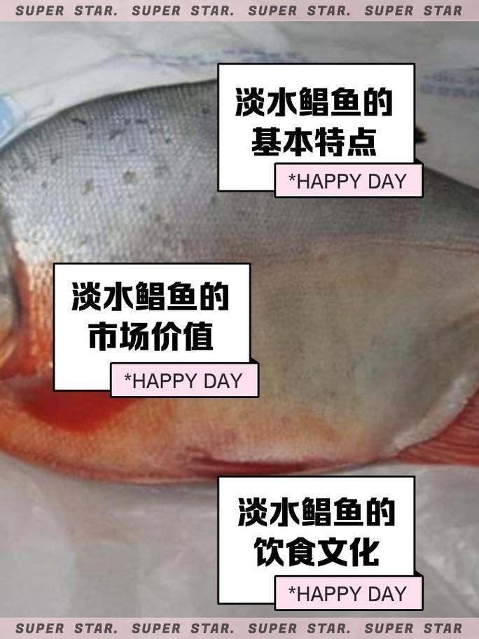 淡水鯧魚圖片