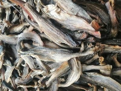 龍魚批發市場一手貨源（選擇哪個地方批發龍魚最好賣）
