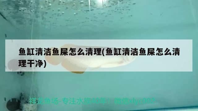 西龍魚缸水泵安裝視頻：西龍魚缸水泵安裝后的調試技巧西龍魚缸水泵安裝后的調試技巧 西龍魚缸水泵安裝視頻：西龍魚缸水泵安裝后的調試技巧西龍魚缸水泵安裝后的調試技巧 魚缸百科 第3張