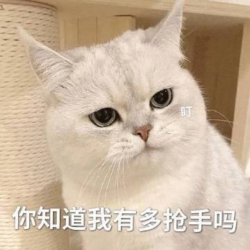 蘇特合集全本TXT資源