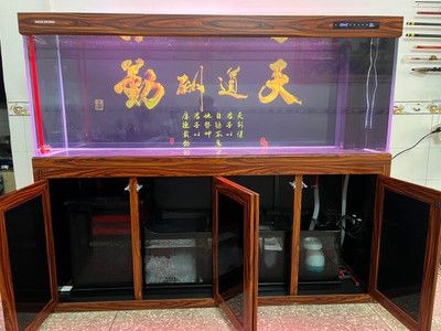 閩江魚缸安裝教程：閩江生態魚缸安裝教程