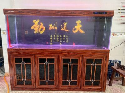 閩江魚缸安裝教程：閩江生態魚缸安裝教程