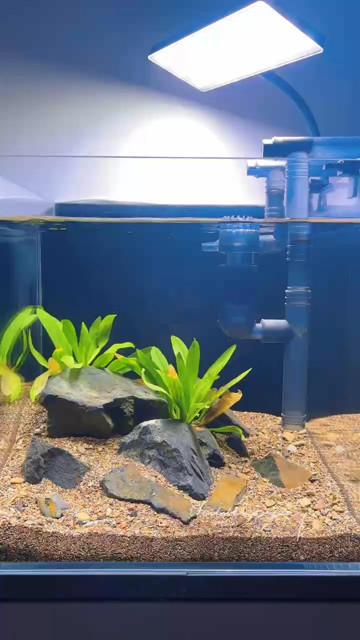 關鍵沒魚啊