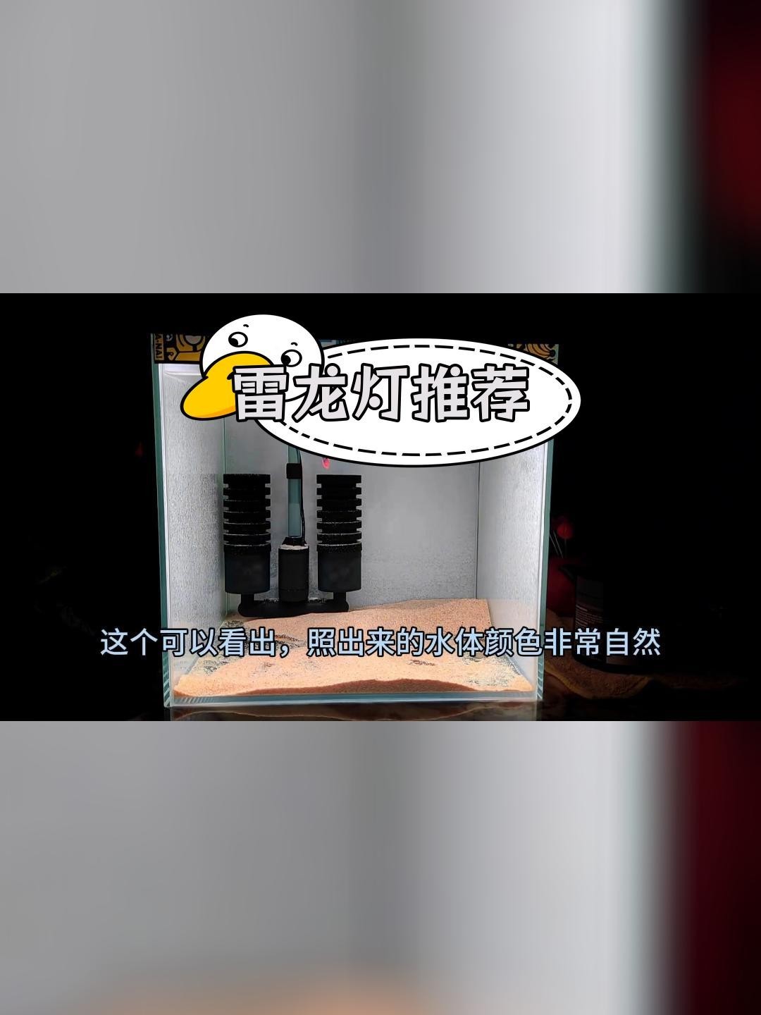 雷龍魚用什么燈比較好