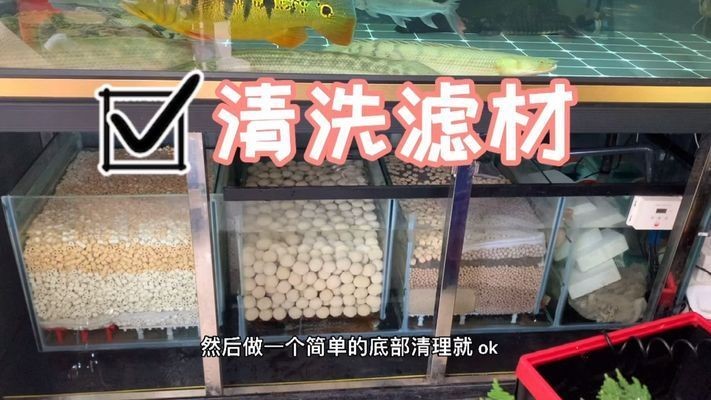 底濾魚缸拆卸視頻：如何拆卸底濾魚缸