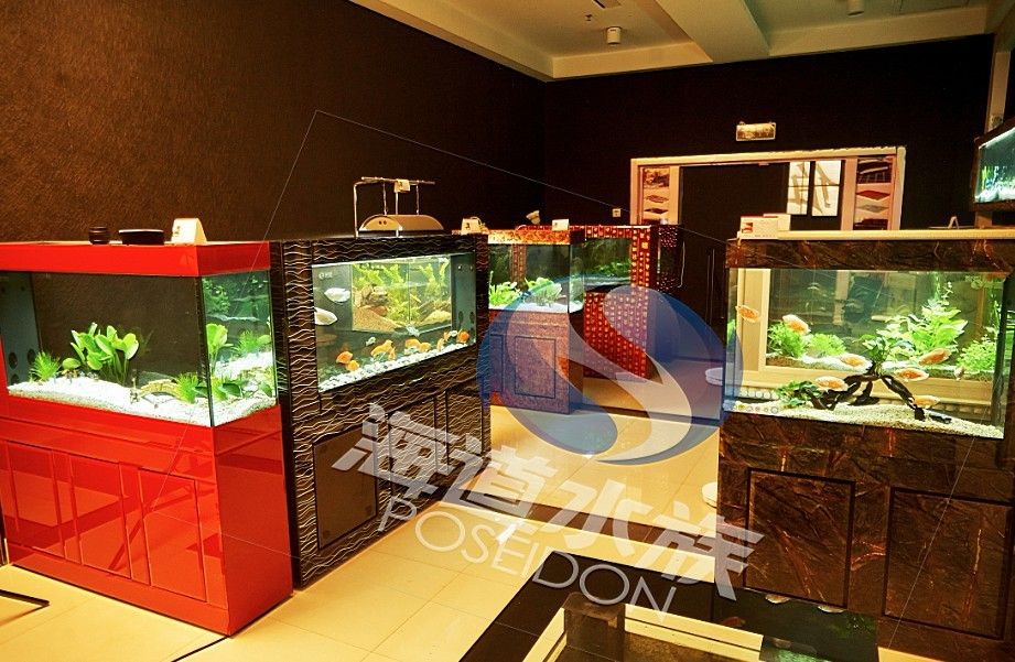 店鋪放魚缸的風(fēng)水布局：店鋪放魚缸的最佳位置