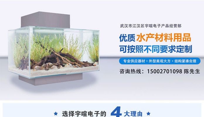 漢陽魚缸市場的歷史演變探索漢陽魚缸市場的歷史演變：漢陽幾個可能有賣魚缸的市場