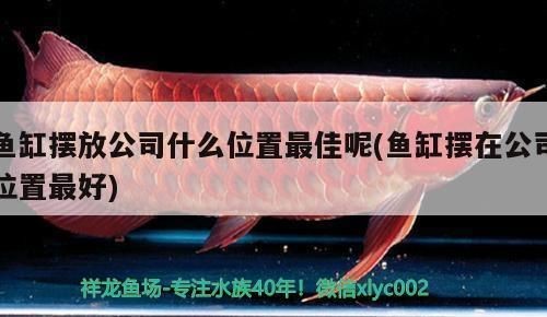 怎樣把魚缸的水變藍色（如何選擇適合魚缸的藍色燈）