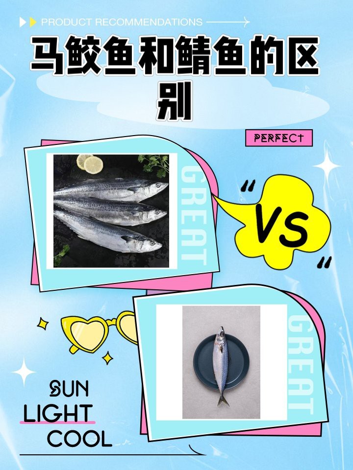 鯖魚是中國(guó)哪里產(chǎn)的