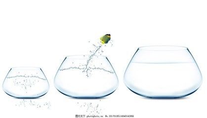 魚缸里的魚繪本：兒童繪本《數(shù)數(shù)魚缸里的魚》