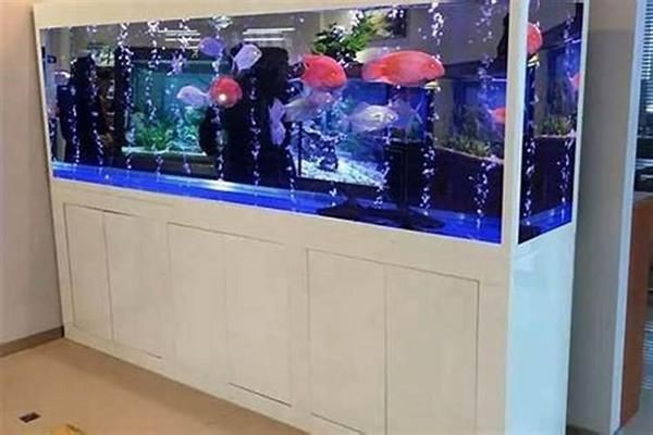 魚缸大小對風水影響探究：魚缸大小、魚缸尺寸選擇不同尺寸的人適合選擇較大的魚缸