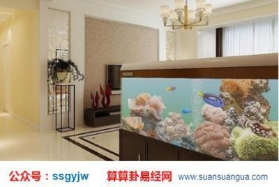 魚缸大小對風水影響探究：魚缸大小、魚缸尺寸選擇不同尺寸的人適合選擇較大的魚缸