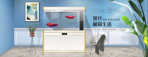 索浦魚缸品牌商標：索浦魚缸與國際品牌比較