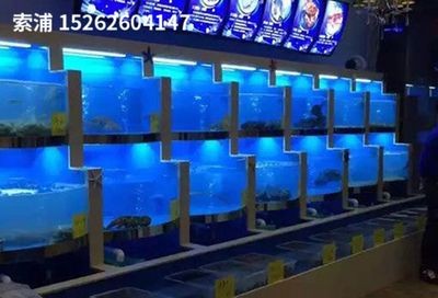 索浦魚缸品牌商標：索浦魚缸與國際品牌比較
