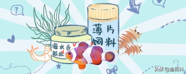 慈溪市滸山鎮晶晶水族館（慈溪市滸山鎮晶晶水族館電話）